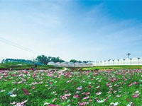 與河北省生態(tài)文明建設(shè)促進會合作，提供單位官網(wǎng)網(wǎng)站改版工作