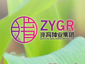 【簽約】河北兆育種業(yè)集團(tuán)有限公司，簽署網(wǎng)站改版升級(jí)合同