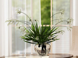 【簽約】張家口智仁商貿(mào)有限公司，網(wǎng)站系統(tǒng)開發(fā)項(xiàng)目