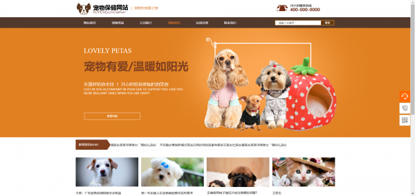 公司網(wǎng)站制作扁平化風格的應用