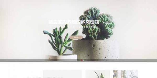 如何開發(fā)公司網(wǎng)站制作Web 前端？